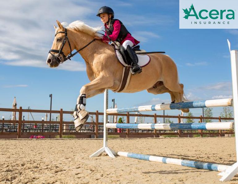 acera insurance, helmet safety horse riding, capri cmw, horse insurance canada, history of riding helmets