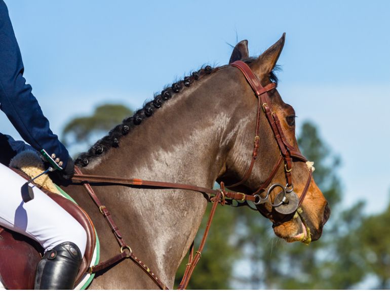 April Clay, prepare for horse show, nervous for horse show