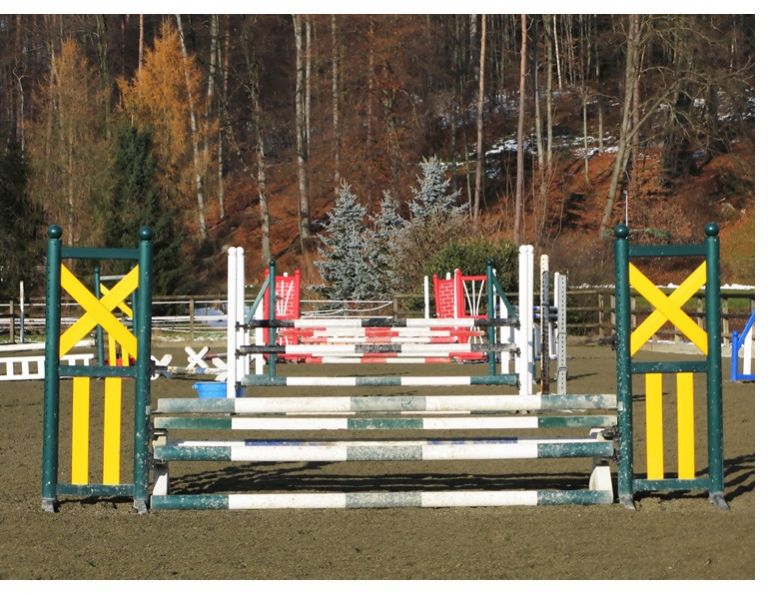 gymnastic horse jumping, adjust horse's stride, horse jumping, horse jumping exercises, brian mortan, show jumping, shorten horse's stride, lengthen horse's stride, horse impulsion, horse engagement