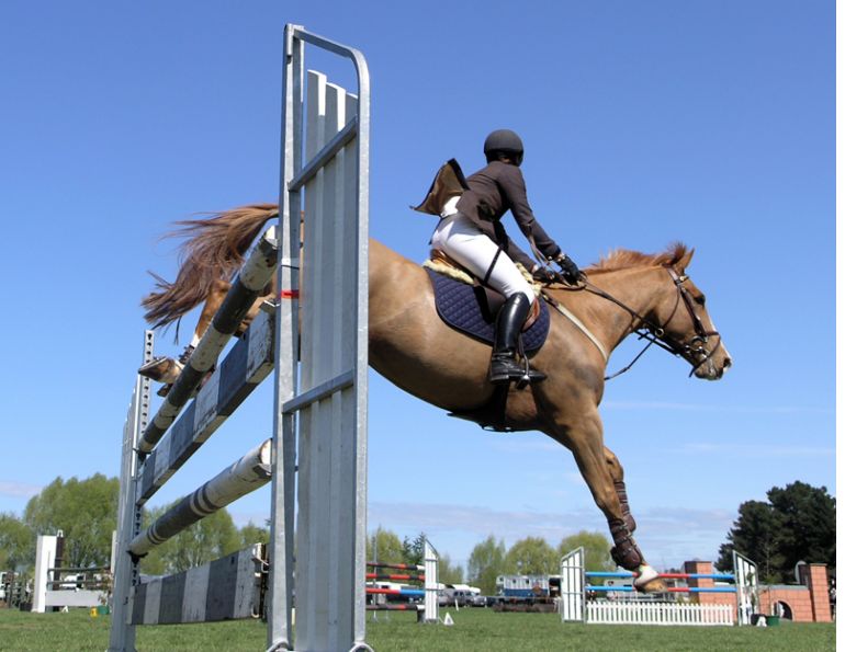 Equestrian Canada, Equestrian Canada controversy, Equine Canada, horse industry, canadian horse industry, Al Patterson, Equestrian Canada Eva Havaris, executive director Horse Council BC Lisa Laycock, Lantz McLaren, Margaret Evans Equestrian Canada, Equestrian Canada controversy, Equine Canada, horse industry, canadian horse industry, Al Patterson, Equestrian Canada Eva Havaris, executive director Horse Council BC Lisa Laycock, Lantz McLaren, Margaret Evans