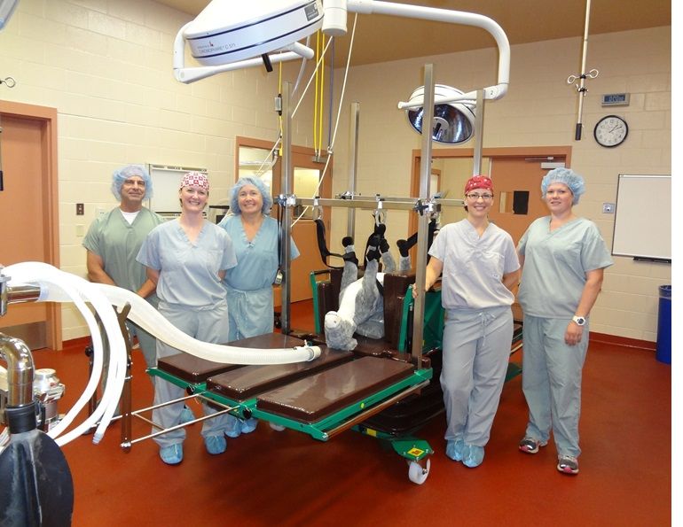 Equine Foundation of Canada, EFC charity Canada, equine welfare Canada, horse charity Canada history, veterinary scholarships horses Canada, equine education funding, Canadian horse industry support, equine nonprofit Canada