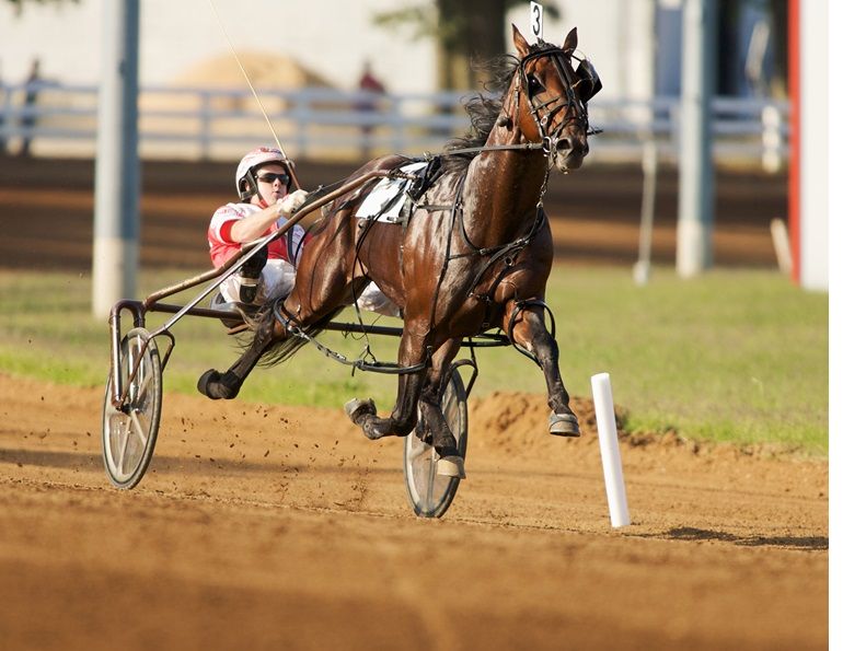2012 readers choice awards, somebeachsomewhere, brent mcgrath nova scotia