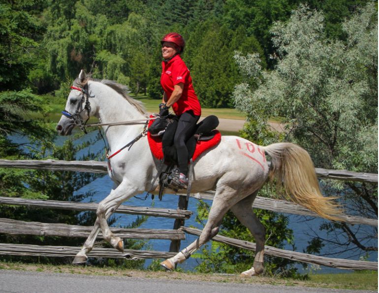 therapeutic tools horse riders, Tania Millen, Hawley Bennett-Awad, Revitavet, Ceramic horse blankets, Wendy MacCoubrey, horse therapy