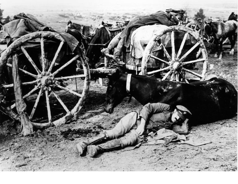 Horses in war, war horse, horses world war 1, horses world war 2, dumb heroes, Riding into War, The Horse in War, my horse warrier, the war illustrated Horses in war, war horse, horses world war 1, horses world war 2, dumb heroes, Riding into War, The Horse in War, my horse warrier, the war illustrated