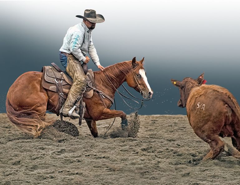 rules in cutting horse competitions, bc cutting horse association, heritage cutting classic chillwack bc, national cutting horse association, ontario cutting horse association, bill collins