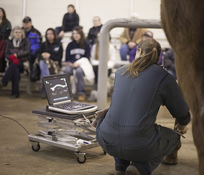 Jeanette Neufeld, Western College Veterinary Medicine, WCVM, equine care, WCVM live horse demonstrations, WCVM Equine Club, horse care Jeanette Neufeld, Western College Veterinary Medicine, WCVM, equine care, WCVM live horse demonstrations, WCVM Equine Club, horse care