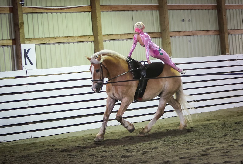 Canadian Equestrian Vaulting, HCBC’s Lifetime Achievement Award, Barb Schmidt HCBC 2015 Sherman Olson Lifetime Achievement Award to local horseman, Borge Olsen 2016 Canada Cup Vaulting Competition at Chilliwack Heritage Park